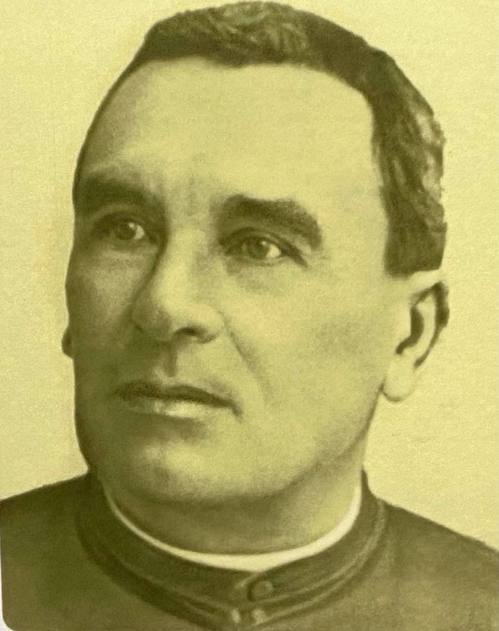 29