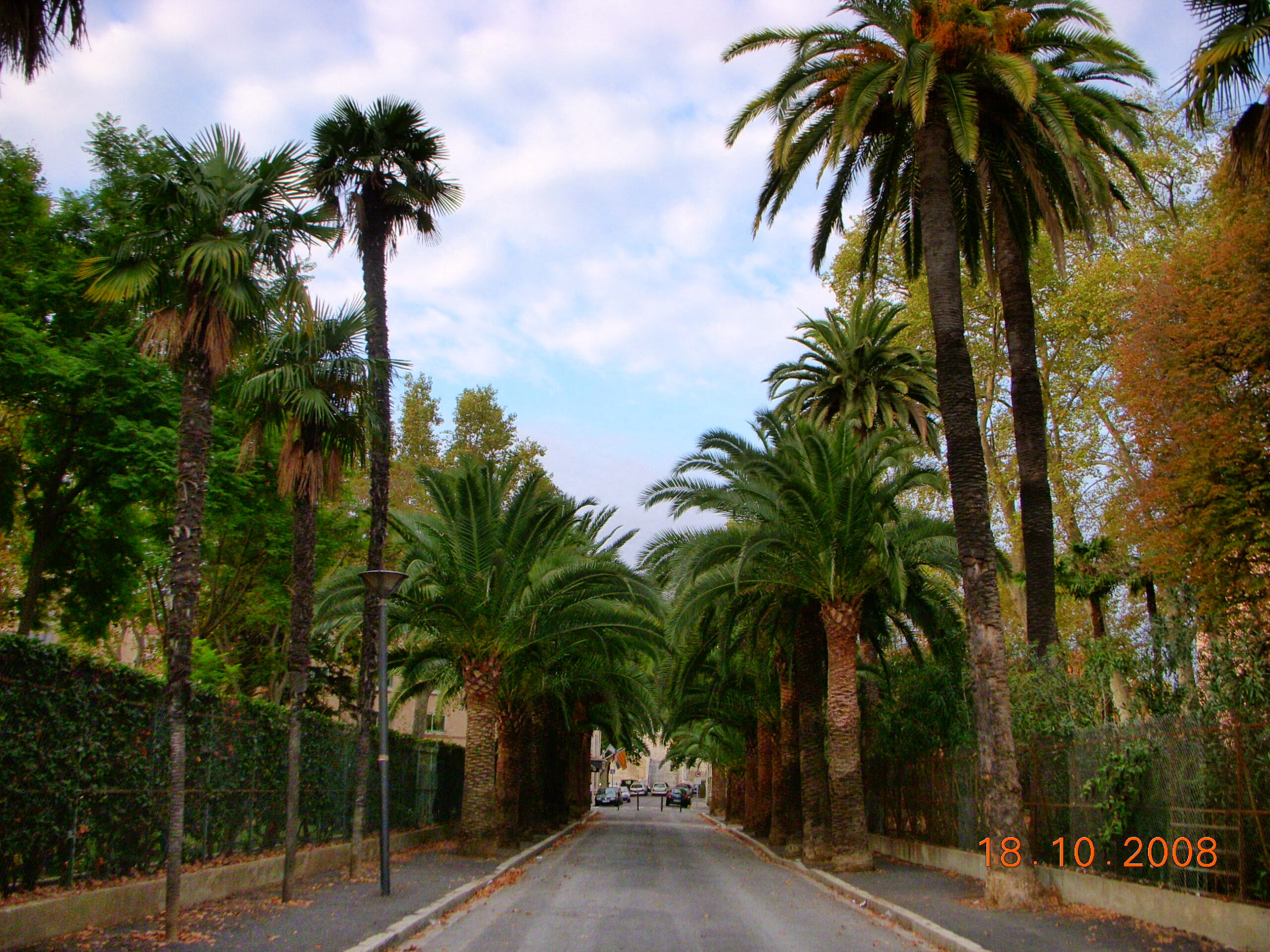 2007-Bicentenaire Lycée (7)