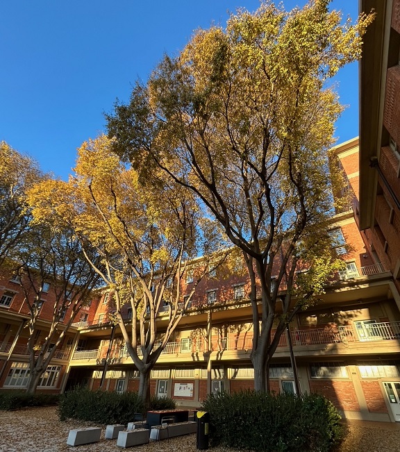 Arago si beau ce 12 d�cembre � 9h !