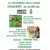 Concert de l'antenne-jeune d'Amnesty Arago et du groupe 46 de Perpignan salle Simone VEIL