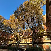 Arago si beau ce 12 d&eacute;cembre &agrave; 9h !