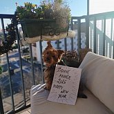 Bonne ann&eacute;e 2026 &agrave; tous les anciens d'Arago