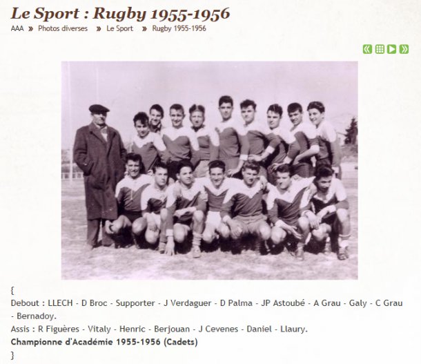 Rugby en 1955