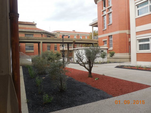 Un Lycée tout neuf à la rentrée 2015 Vus de l\'infirmerie, les nouveaux oliviers .... : 1441181094.dscn1089.jpg