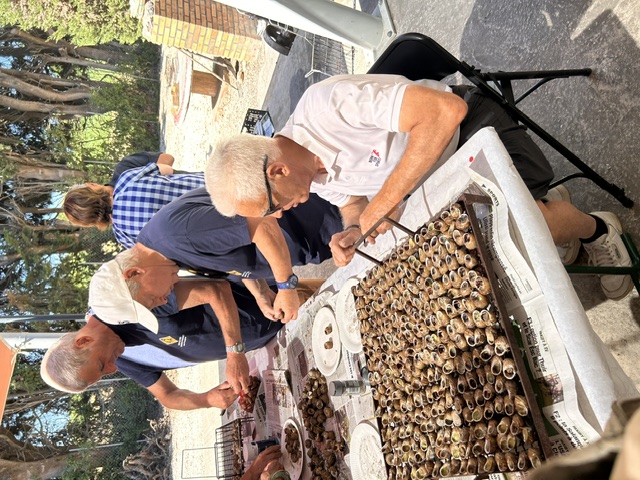 IMG 0653 1