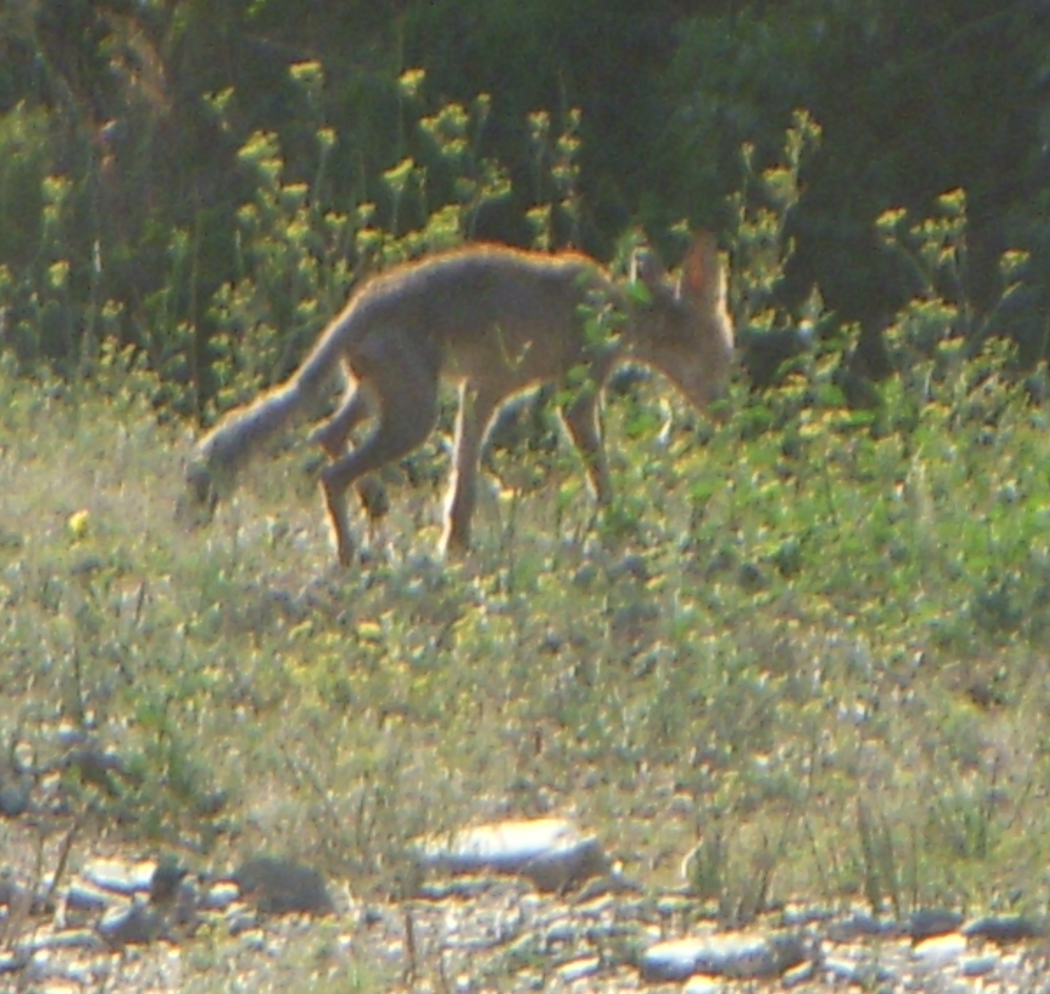 Sortie à San Pere de Rodes – 2009