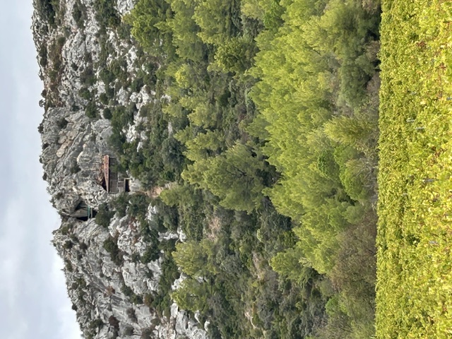 IMG 1233