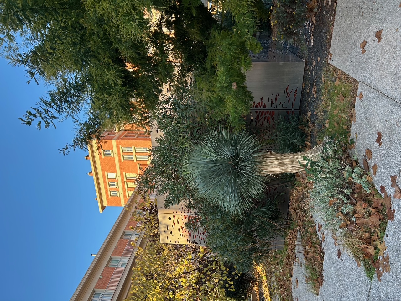 Arago, un lycée très confortable.